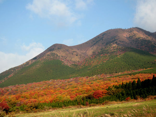 今が見頃の紅葉を求め、娘と愛犬を連れて一泊二日の旅です。<br />やはり人気スポットは平日だというのにどこも混雑していました。<br />今回もお気に入りの旅館、湯坪温泉の『御宿　泉水（せんすい）』にお世話になりました。<br /><br />写真は標高1,330ｍの牧ノ戸登山口です。<br />久重連山の麓にひろがる紅葉には目をうばわれます。<br /><br /><br /><br />