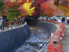 晩秋の河口湖・もみじ回廊