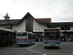 日帰りで、鎌倉　長谷寺、高徳院に行ってきました