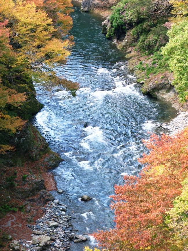 倉岳山頂から、枯葉積む道を下りました。<br />倉岳山 (クラタケヤマ) 高さ：990ｍ<br />大菩薩・道志山系山梨百名山秋山々稜の最高峰。アプローチの便が良く、誰でも安心して歩けるので、首都圏のハイカーに人気がある。頂上は平らで東から南にかけ眺望が良く、蛭ヶ岳、道志山塊の主稜が望め、富士山の展望もある。山腹にはトチノキの巨木もある。<br /><br />やまなし観光ネットは・・<br />http://www.yamanashi-kankou.jp/spot/nature_detail.html?id=c958<br />山梨県大月市は・・ http://www.city.otsuki.yamanashi.jp/data/15/index.html 