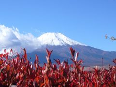 富士山を見たくて　?日目～山中湖・河口湖・西湖と富士山～