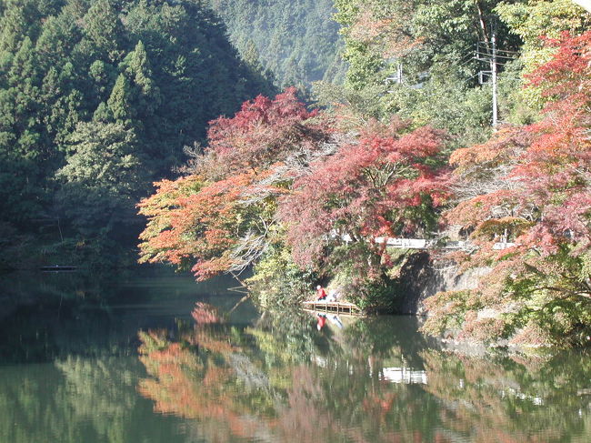 久喜市高齢者大学4年生修学旅行が11月14日・15日で実施された。<br />今回は２回に分けてＵＰ予定です。<br /><br />修学旅行の趣旨は健康で生きがいのある生涯を目指してきた高大生活を、締めくくる修学旅行として郷土の名所旧跡を見学研修し、郷土愛を深め、自然や産業そして平和を大切にする学習の一助とし、あわせて共に学んだ仲間達と楽しい宿泊旅行を通して永久の固い友情を育む。<br /><br />４年生２クラスでバス２台に分乗。<br />宿泊は越生の「ウエルサンピアおごせ」<br /><br />今回は、鎌北湖・埼玉種畜牧場から帰宅まで。<br />