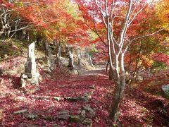 竹谷山渓谷の紅葉