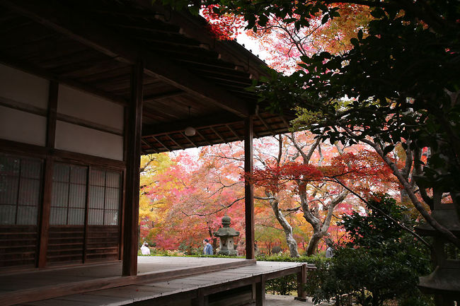 殆どの観光客は祇王寺の傍にある滝口寺へ上って来ないので、今日も滝口入道と横笛の悲恋の寺はひっそりとしていい感じでした。