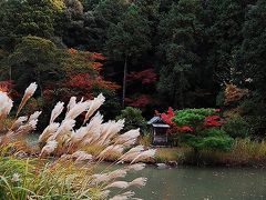 2007秋　奈良･京都の旅 （1） ～山寺と石仏の山里、当尾を歩く