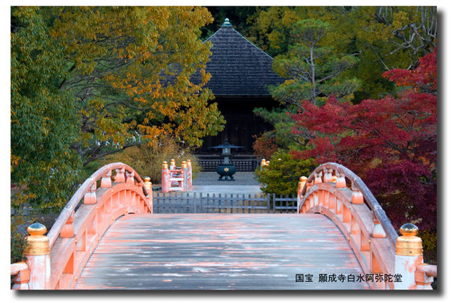 東京を午前四時前に出て紅葉目的地（国宝白水観音堂）へ向かいました。<br />いわき市総合観光案内所の優しい丁寧な御応えでいわき市紅葉撮影へ参りました。<br />ここの案内所は、本当に信じる事が出来ます。<br />担当の方ありがとうございました。<br />「見ごろ」でなく「最盛期」でした。<br />ありがとうございました。<br />画像は、福島県で唯一の国宝「白水阿弥陀堂」です。<br />宗派は、真言宗です。<br />国宝・白水阿弥陀堂<br />住所：いわき市内郷白水町広畑２２１<br />TEL：０２４６−２６−７００８<br />駐車場：５０台（大型車可）<br />トイレ：あり<br />アクセス：いわき湯本I.Cから車で約１５分<br />いわき駅前３番乗り場　川平行きバス　あみだ堂下車　徒歩３分