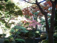 今年の秋は東京を満喫してみよう【第6弾：国分寺・小金井・吉祥寺】
