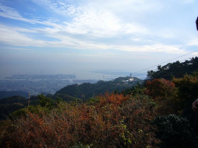 朝から天気が良かったので、和歌山市内の神社を回った後に神戸方面にドライブ。<br /><br />紅葉に期待して、六甲山に登りましたが少し早すぎました。