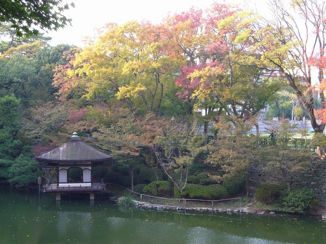 和歌山城の紅葉を一足先に見に行きました。<br />当然、早い時期なので紅葉は所々です。