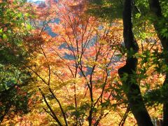 2007秋、香嵐渓の紅葉(4/5)：尾張・三河の紅葉名所、野口雨情歌詞碑、十六羅漢石像