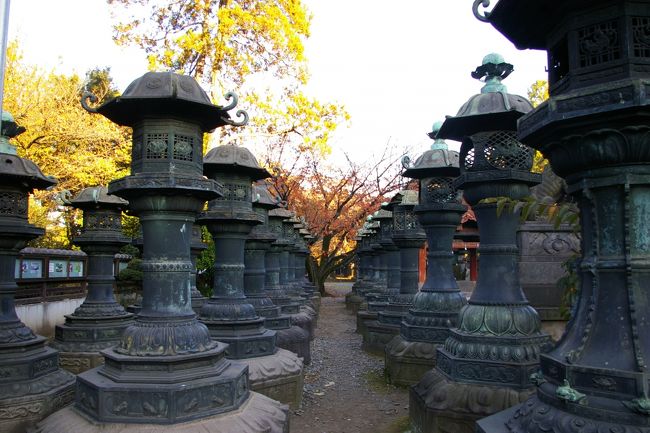 東照宮は、東照大権現たる徳川家康を祀る神社で、幕府によって建立された日光、久能山などをはじめとして、各地の徳川・松平一門大名をはじめ、譜代、外様家も競って建立し、一時は全国で500社を超える東照宮が造られました。その中で現存するのは１３０社あり、上野の東照宮もそのひとつになります。<br />ここは、寛永4年（1627年）、藤堂高虎が上野の自邸内に創建したもので、危篤の家康から自分の魂が末永く鎮まる所を作ってほしいと高虎と天海に遺言されたことにより建立されたもので、現在の社殿は慶安4年（1651年）に家康の孫である徳川家光が改築したもので意外に由緒あるものなんです。<br /><br />