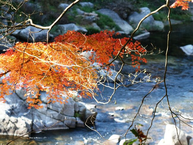 2007秋、香嵐渓の紅葉(2/5)：尾張・三河の紅葉名所、香嵐渓、巴川、待月橋