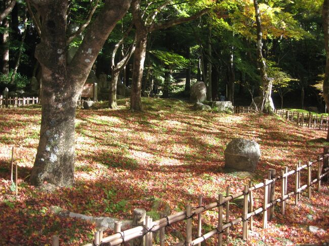 巴川沿いの香嵐渓の紅葉見学の後は、香積寺境内と裏山の散策です。香積寺の創建は1427年とされます。香嵐渓の楓は、11世の三栄和尚が1634年に植えたのが始まりとされます。(ウィキペディア)