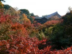 今年は一番人気の東福寺へ（２年連続で京都の紅葉①）　