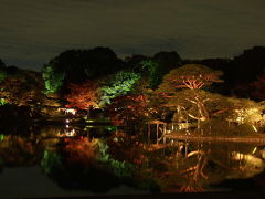 六義園：紅葉（？）ライトアップ