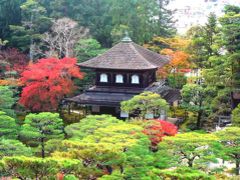 京都の紅葉狩り初日の目的地は銀閣寺。