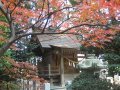 裏の神社、今年の紅葉は絶不調（泣）