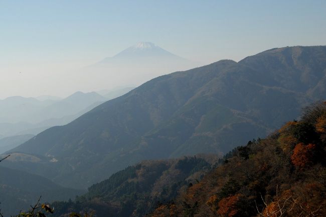 絶好の行楽日和となったこの日、丹沢の大山に登ってきました。紅葉と富士山の眺めを存分に楽しむことができました。<br />さすがに人出も最高潮で、大山の山頂はハイカーで大混雑でしたし、下りついた阿夫利神社も、ケーブルカーには長蛇の列でした。結局、ケーブルに乗るのは諦め、女坂を下りました。<br />大山はハイキング入門の山として良く知られていますが、実は結構、上り下りが意外に大変なことでも知られています。子供を山嫌いにするには大山に連れてくると良い、といったジョークもあるほどです。ただ意外だったのは、朝、小田急線の伊勢原駅から日向薬師までのバスは大変空いていて、終点の日向薬師で降り立った乗客は私たちだけだったのには、少し驚きました。