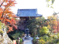 紅葉狩り京都二日目は善峯寺です。