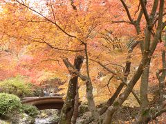 西播磨紅葉めぐり　その２　東山公園