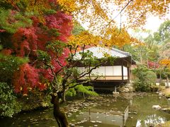 西播磨紅葉めぐり　その３　龍野公園