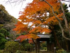 チョコッと寄り道　鎌倉の紅葉