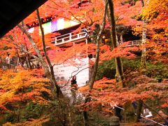 京都の紅葉の見頃（永観堂・南禅寺・京都御所）