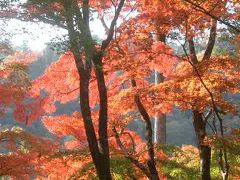 宝厳院の紅葉は紅かった