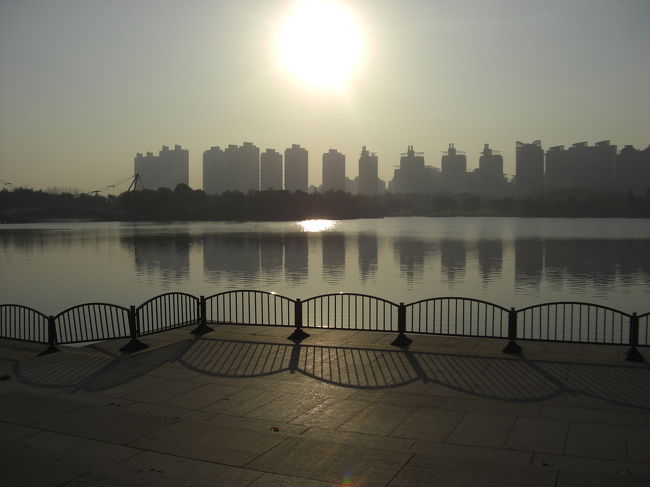 上海１２日間<br />今回は出張で上海の浦東に、初めての上海を朝の散歩を中心に編集します。<br />※写真は世紀公園で撮影