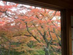 宝筐院の庭は、まだ、紅葉に被われていませんでした