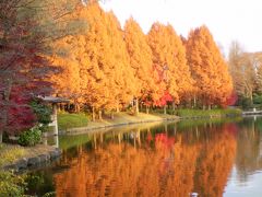 　なめてました！県立博物館　(＞_＜)