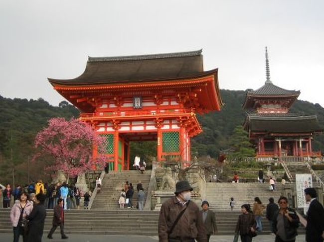 ぷらっと京都と大阪 東山 祇園 北白川 京都 の旅行記 ブログ By あずさん フォートラベル