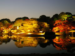 色づき始めた六義園の紅葉そして盛りのライトアップ