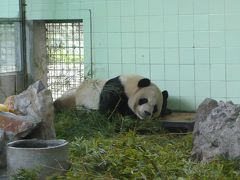 【中国】　無錫から上海・北京へ　その４　【上海・動物園】