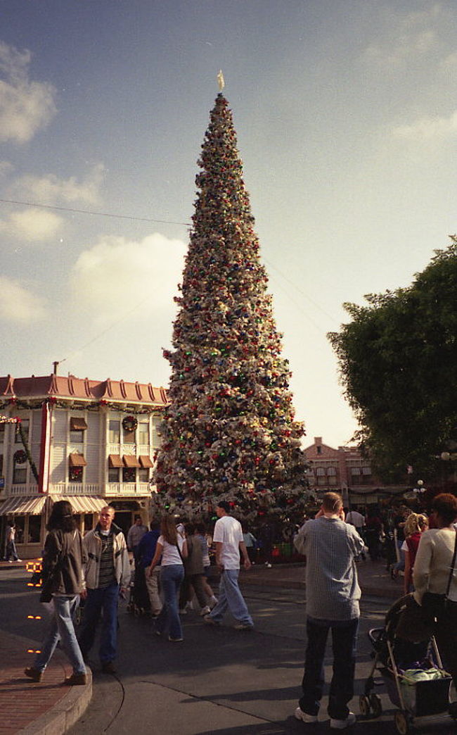 この時期のディズニーランドはクリスマス気分一色です。閑散期で日暮れの時間も早いので、閉園時間も早く、19時くらいだったと記憶しています。平日だったせいも<br />あり、それほどの混雑もなく、キャラクターとの写真もあまり並ばずに撮ることができました。