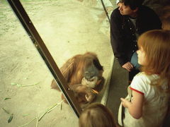2001年ニューポートビーチ③4度目のSan Diego Zoo