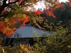 紅葉三昧　明月院から覚園寺（１）