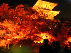 秋の嵐山と夜の清水寺