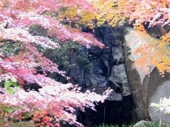 1時間早起き、超プチ紅葉狩り