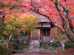 京都　嵯峨野の紅葉（清涼寺・常寂光寺・二尊院・祇王寺・宝筐院・厭離庵）