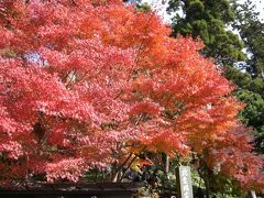 鎌倉へ紅葉狩り　０７秋