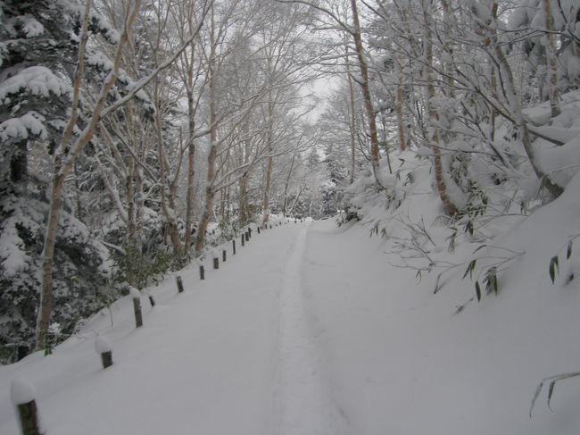 ３度目の富良野。<br /><br />旭川あたりから雪。<br /><br />新雪の道路は気持ちいいね。<br /><br />旭川の街中は凍っていて怖い。<br /><br />