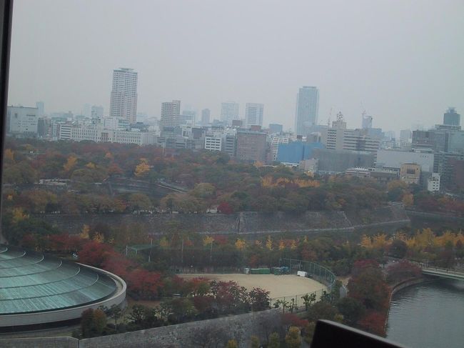 【健康⇒ネコ⇒紅葉、何と脈絡のない!盛りだくさんな1日】<br />今日は朝から会社の健康診断。約半日の人間ドックを受診することになっている。<br />通常なら、健康診断が終われば事務所へ出社していつもと変わらず仕事となるのだが、そう言えば、今年はまだ紅葉らしきものをしっかりと見ていない。折角の機会だから、昼からは休みを取って久々に奈良へ出かけてみようと思い立った。移動のルートを調べていたら、乗り換え駅の近くに友人の店があることを思い出した。ついでに顔を出してみよう、ちょっと忙しい1日になりそうだけど。<br />いつもの通勤ルートから少し離れて、まずはノルマの健康診断へと向かった。<br /><br />【メンバー】<br />一人旅。<br /><br />【ルート】<br />11/27 京橋−ホテルニューオータニ大阪<br /> (以上の旅行記⇒本編)<br /> 大阪ビジネスパーク−<地下鉄長堀鶴見緑地線・中央線・近鉄けいはんな線>−生駒<br /> (以上の旅行記⇒http://4travel.jp/traveler/poi/album/10201952/)<br /> 生駒−<近鉄生駒線>−王寺−<奈良交通バス>−竜田大橋−奈良県立竜田公園<br /> −斑鳩交番前−<奈良交通バス>−筒井−<近鉄橿原線・京都線>−丹波橋<br /> (以上の旅行記⇒http://4travel.jp/traveler/poi/album/10201954/)<br /><br />【表紙の写真】<br />ホテルニューオータニ大阪18階のフランス料理・サクラから見た大阪城公園の紅葉。運良く窓側席に案内されたので、景色と料理を同時に味わえた。