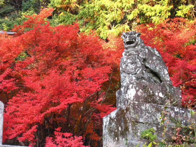 紅葉の季節も終わりを迎えようとしています。<br />さて、今回は福岡よりドライブで半日のミニ旅行です。<br /><br />特に、平日は穴場スポット満載です。<br />お天気のいい日に、ぜひ出掛けてみませんか？<br /><br /><br />　【福岡市内　→　三瀬峠　→　鶏めし名尾庵（ランチ）　→　仁比山神社　<br />　　→　豆腐工房　おしとり　→　ひがしせふり温泉　山茶花の湯　→　帰宅】<br /><br />