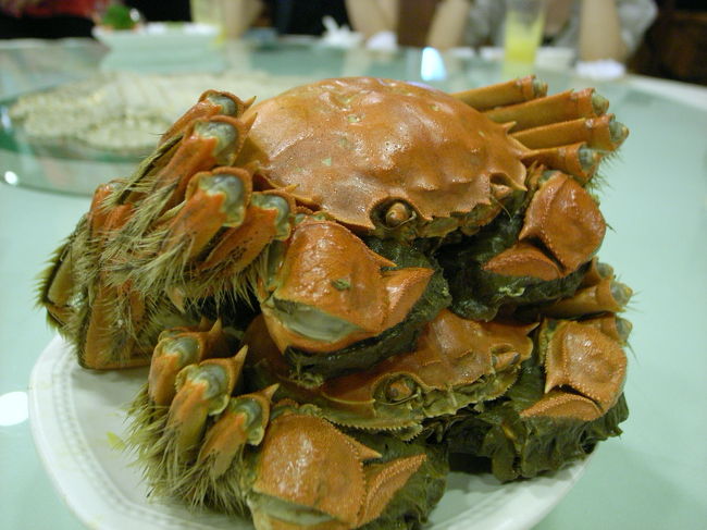 上海蟹のシーズンにはちょっと早すぎでしたかね・・・<br />