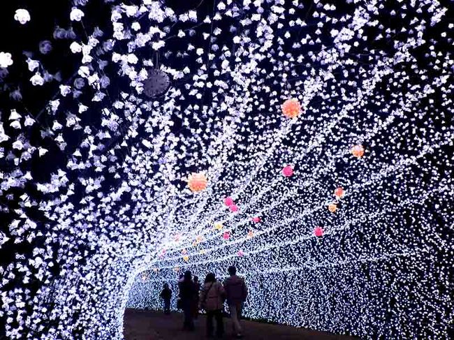揖斐＆長良川と木曽川のデルタ地帯の長島にある　なばなの里「冬華の競演」を見に行きましたが本当に光の競演は綺麗でした。