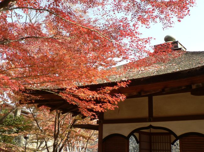 続いて訪れたのは和歌山城。<br />和歌山城は御三家紀州徳川家の居城で、天守は昭和３３年に復元されたもの。<br />桜の名所として有名だが、紀州徳川藩祖、頼宣公が西之丸御殿に築造した庭園が紅葉渓の名で昔から親しまれている。その名の通り紅葉が美しい。見頃は少し過ぎてはいたが、まだ十分に奇麗だった。<br /><br />最後に湯浅へ向かう。<br />