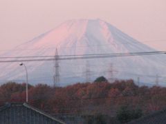 久しぶりに富士山のモルゲンロートを見る