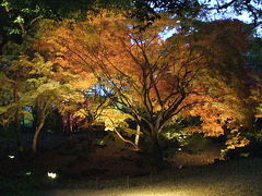 六義園の紅葉ライトアップ