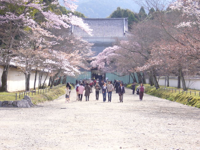 秀吉が「醍醐の花見」をしたほどの桜の名所～醍醐寺～
